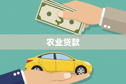 和田农业贷款