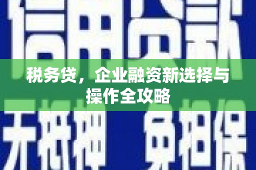 和田税务贷，企业融资新选择与操作全攻略