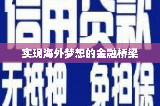 和田实现海外梦想的金融桥梁