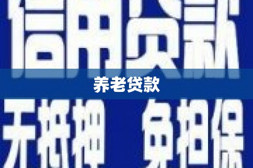 和田养老贷款