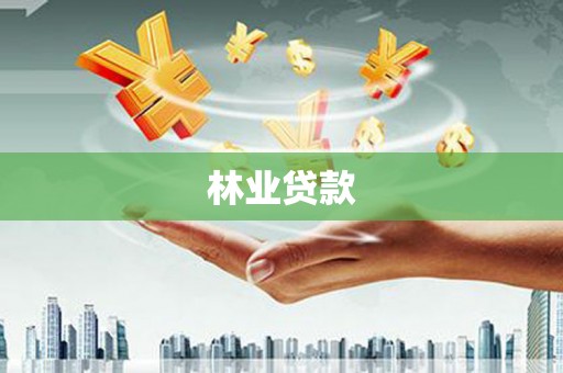 和田林业贷款