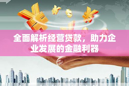和田全面解析经营贷款，助力企业发展的金融利器