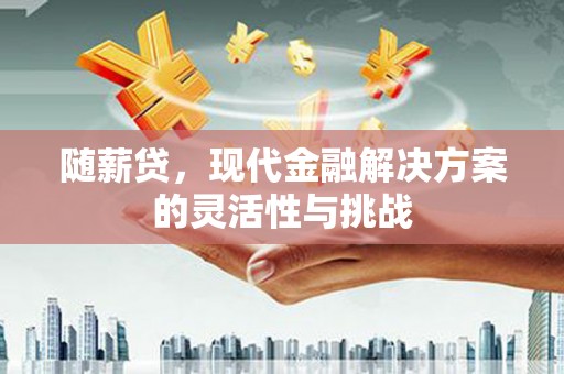 和田随薪贷，现代金融解决方案的灵活性与挑战