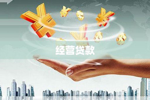 和田经营贷款