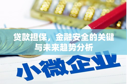 和田贷款担保，金融安全的关键与未来趋势分析
