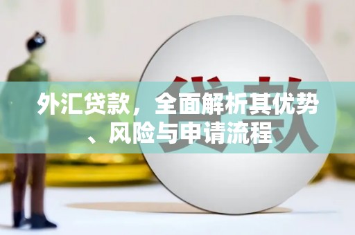 和田外汇贷款，全面解析其优势、风险与申请流程