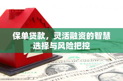 和田保单贷款，灵活融资的智慧选择与风险把控