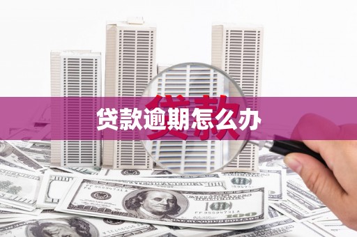 和田贷款逾期怎么办