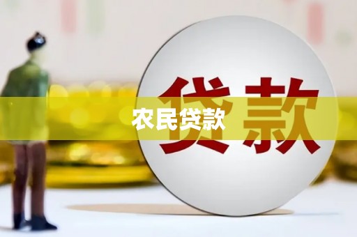 和田农民贷款