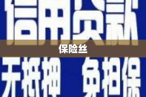 和田保险丝