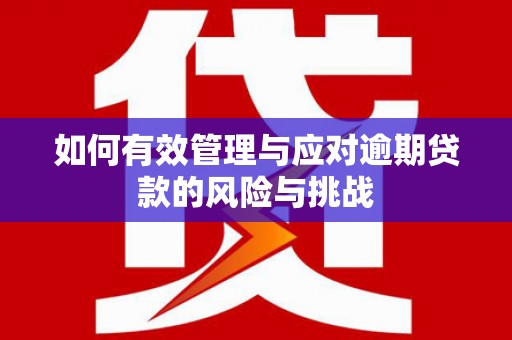 和田如何有效管理与应对逾期贷款的风险与挑战