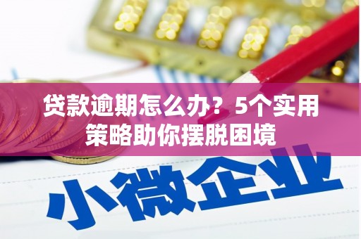 和田贷款逾期怎么办？5个实用策略助你摆脱困境