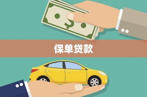 和田保单贷款