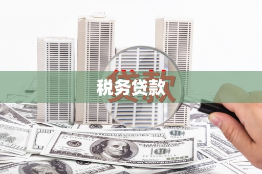 和田税务贷款