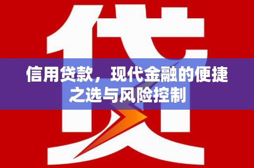 和田信用贷款，现代金融的便捷之选与风险控制