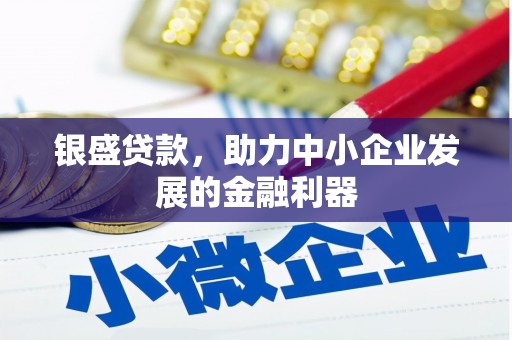 和田银盛贷款，助力中小企业发展的金融利器