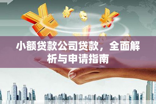 和田小额贷款公司贷款，全面解析与申请指南