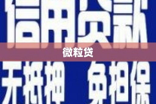 和田微粒贷