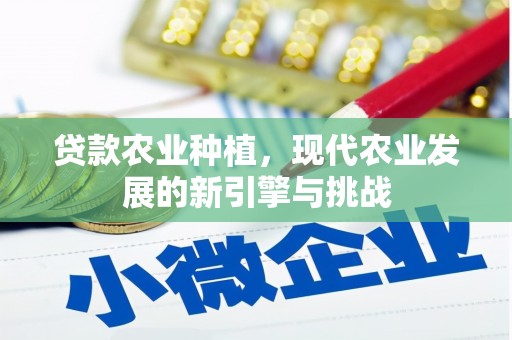 和田贷款农业种植，现代农业发展的新引擎与挑战