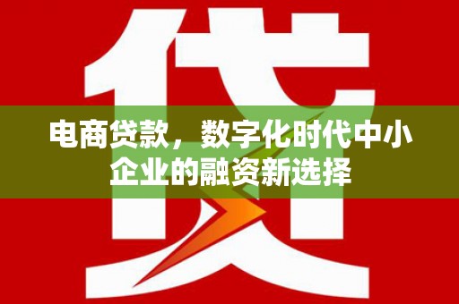 和田电商贷款，数字化时代中小企业的融资新选择