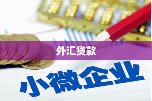 和田外汇贷款