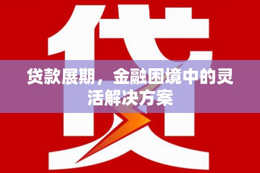 和田贷款展期，金融困境中的灵活解决方案