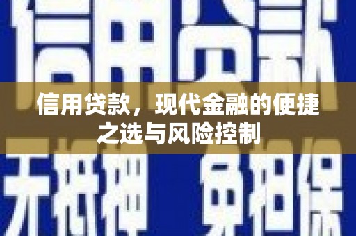 和田信用贷款，现代金融的便捷之选与风险控制