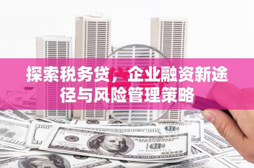 和田探索税务贷，企业融资新途径与风险管理策略