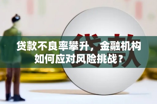 和田贷款不良率攀升，金融机构如何应对风险挑战？