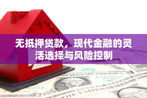 和田无抵押贷款，现代金融的灵活选择与风险控制