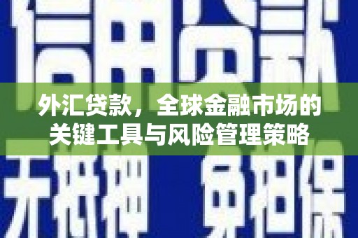 和田外汇贷款，全球金融市场的关键工具与风险管理策略