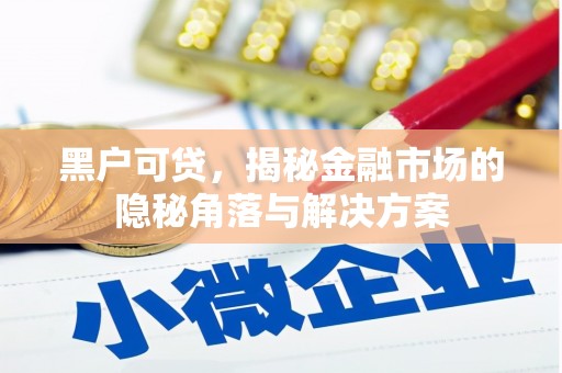 和田黑户可贷，揭秘金融市场的隐秘角落与解决方案