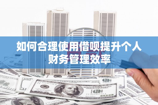 和田如何合理使用借呗提升个人财务管理效率