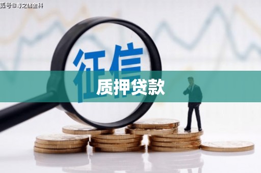 和田质押贷款