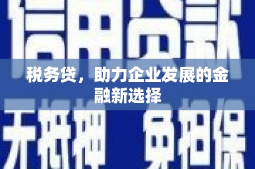 和田税务贷，助力企业发展的金融新选择
