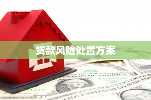 和田贷款风险处置方案