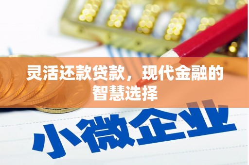 和田灵活还款贷款，现代金融的智慧选择