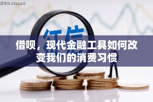 和田借呗，现代金融工具如何改变我们的消费习惯