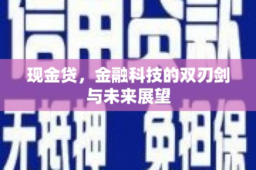 和田现金贷，金融科技的双刃剑与未来展望