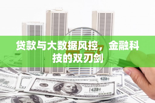 和田贷款与大数据风控，金融科技的双刃剑