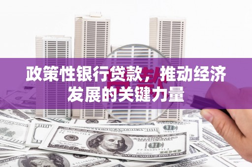 和田政策性银行贷款，推动经济发展的关键力量