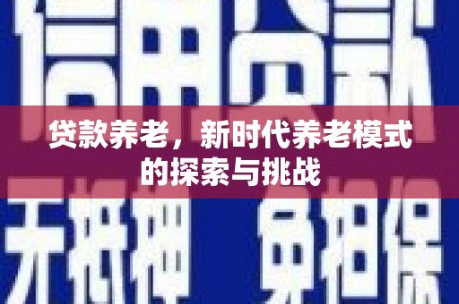 和田贷款养老，新时代养老模式的探索与挑战