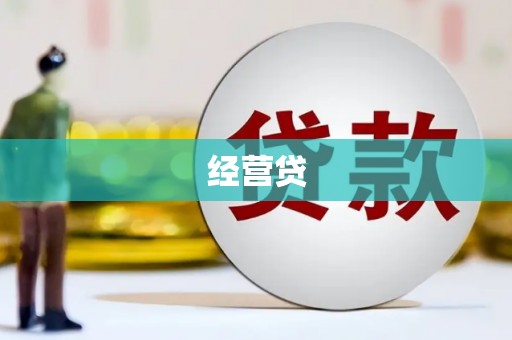 和田经营贷