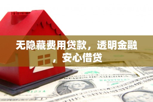 和田无隐藏费用贷款，透明金融，安心借贷