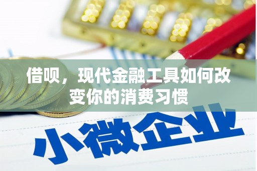 和田借呗，现代金融工具如何改变你的消费习惯