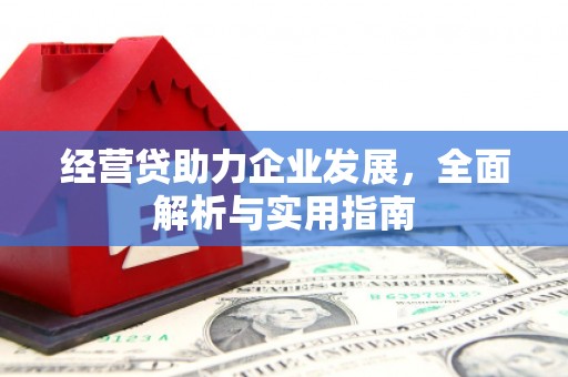 和田经营贷助力企业发展，全面解析与实用指南