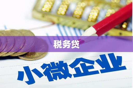和田税务贷