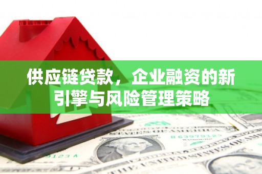 和田供应链贷款，企业融资的新引擎与风险管理策略