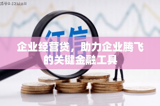 和田企业经营贷，助力企业腾飞的关键金融工具
