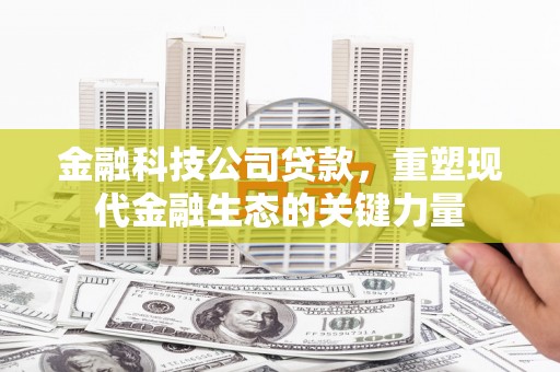 和田金融科技公司贷款，重塑现代金融生态的关键力量